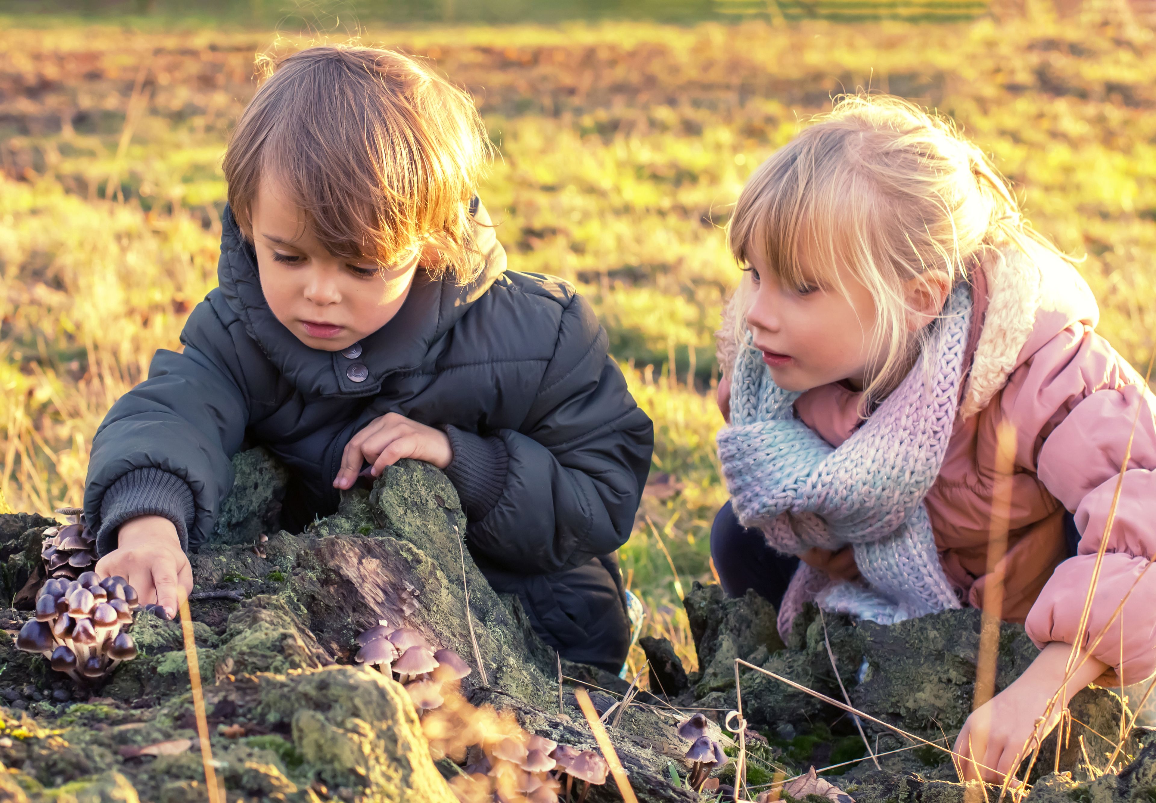 Two kids in the countryside exploring the nature